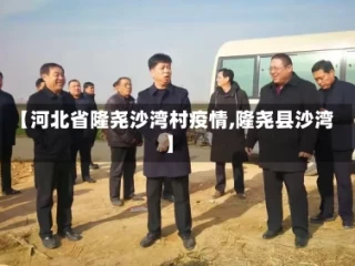 【河北省隆尧沙湾村疫情,隆尧县沙湾】