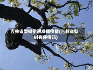 吉林省梨树伊通发现疫情(吉林省梨树有疫情吗)