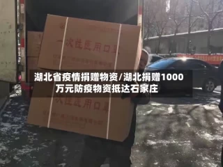 湖北省疫情捐赠物资/湖北捐赠1000万元防疫物资抵达石家庄