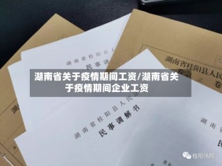 湖南省关于疫情期间工资/湖南省关于疫情期间企业工资