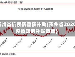 贵州省抗疫情国债补助(贵州省2020疫情政府补贴政策)