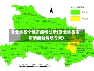 湖北省各个城市疫情公示(湖北省各市疫情最新消息今天)