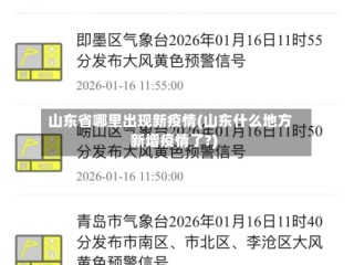 山东省哪里出现新疫情(山东什么地方新增疫情了?)