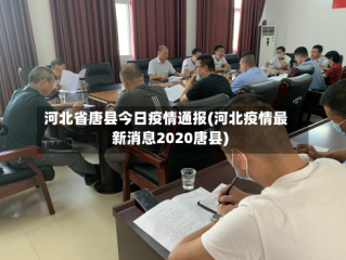 河北省唐县今日疫情通报(河北疫情最新消息2020唐县)