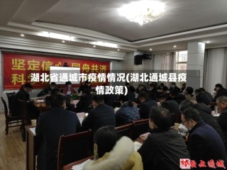 湖北省通城市疫情情况(湖北通城县疫情政策)