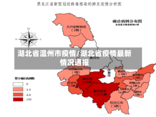 湖北省温州市疫情/湖北省疫情最新情况通报