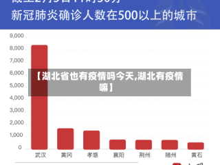 【湖北省也有疫情吗今天,湖北有疫情嘛】