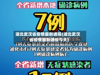 湖北武汉省疫情最新通报(湖北武汉省疫情最新通报今天)