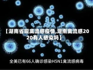 【湖南省现禽流感疫情,湖南禽流感2020有人感染吗】