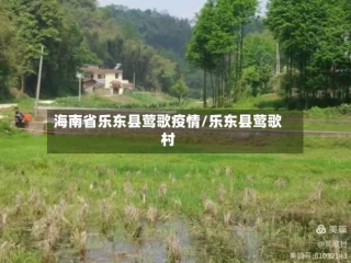 海南省乐东县莺歌疫情/乐东县莺歌村