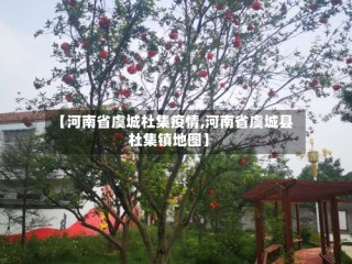 【河南省虞城杜集疫情,河南省虞城县杜集镇地图】