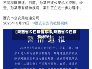 【陕西省今曰疫情怎样,陕西省今日疫情通报】