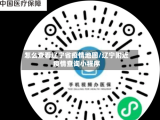 怎么查看辽宁省疫情地图/辽宁附近疫情查询小程序