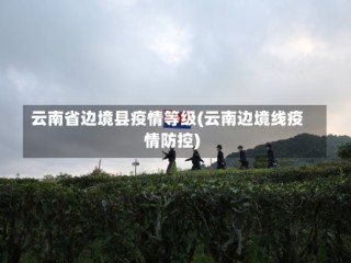 云南省边境县疫情等级(云南边境线疫情防控)
