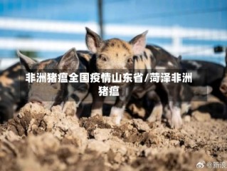 非洲猪瘟全国疫情山东省/菏泽非洲猪瘟