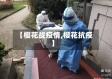 【樱花战疫情,樱花抗疫】