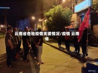 云南省各地疫情支援情况/疫情 云南省