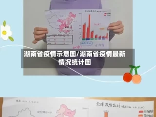 湖南省疫情示意图/湖南省疫情最新情况统计图