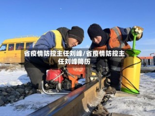 省疫情防控主任刘峰/省疫情防控主任刘峰简历