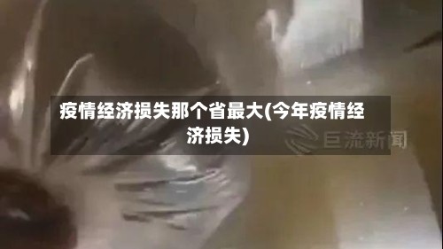 疫情经济损失那个省最大(今年疫情经济损失)