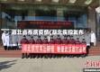 湖北省布病疫情(湖北疾控发布)