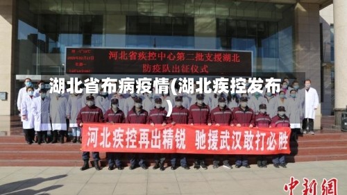 湖北省布病疫情(湖北疾控发布)