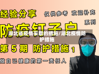 湖北省疫情采取的措施/湖北疫情防护措施