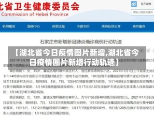 【湖北省今日疫情图片新增,湖北省今日疫情图片新增行动轨迹】