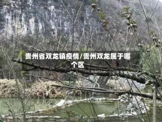 贵州省双龙镇疫情/贵州双龙属于哪个区