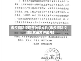 省疫情防控调整政策文件(省疫情防控调整政策文件通知)