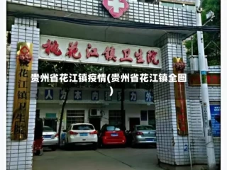 贵州省花江镇疫情(贵州省花江镇全图)