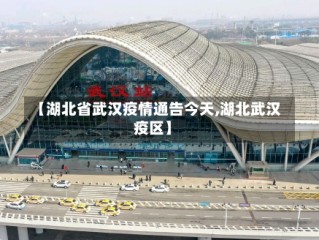 【湖北省武汉疫情通告今天,湖北武汉疫区】