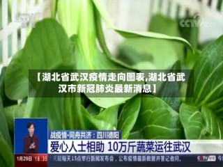 【湖北省武汉疫情走向图表,湖北省武汉市新冠肺炎最新消息】