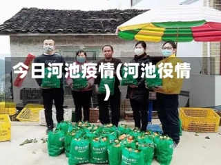 今日河池疫情(河池役情)