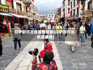 拉萨到河北省疫情政策(拉萨到河北机票费用)