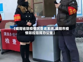 【咸阳省防疫情况查询系统,咸阳市疫情防控指挥办公室】