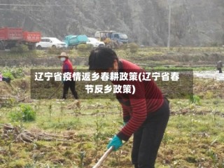 辽宁省疫情返乡春耕政策(辽宁省春节反乡政策)