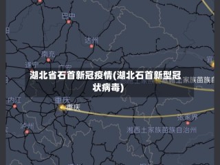 湖北省石首新冠疫情(湖北石首新型冠状病毒)