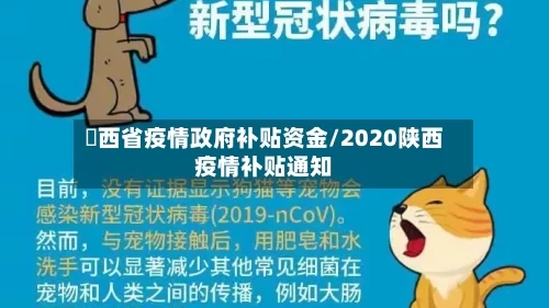 冮西省疫情政府补贴资金/2020陕西疫情补贴通知