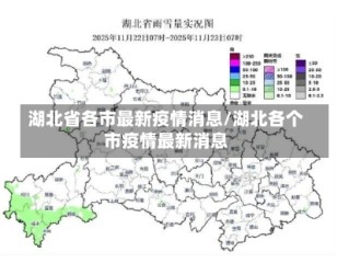 湖北省各市最新疫情消息/湖北各个市疫情最新消息