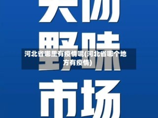 河北省哪里有疫情呢(河北省哪个地方有疫情)