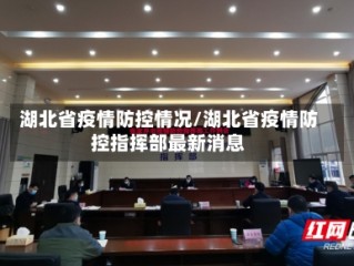 湖北省疫情防控情况/湖北省疫情防控指挥部最新消息