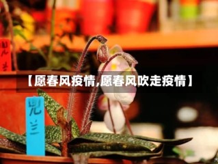 【愿春风疫情,愿春风吹走疫情】