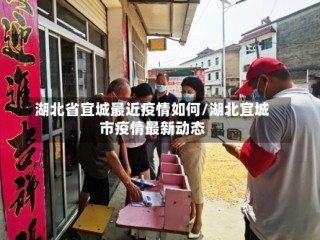 湖北省宜城最近疫情如何/湖北宜城市疫情最新动态