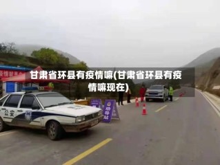 甘肃省环县有疫情嘛(甘肃省环县有疫情嘛现在)