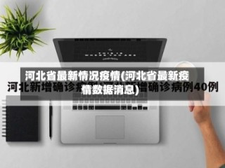 河北省最新情况疫情(河北省最新疫情数据消息)