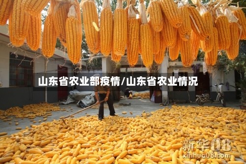 山东省农业部疫情/山东省农业情况
