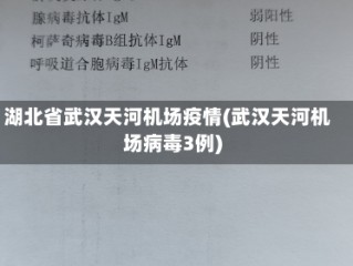 湖北省武汉天河机场疫情(武汉天河机场病毒3例)