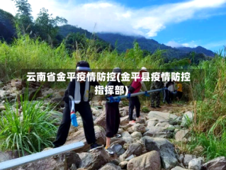 云南省金平疫情防控(金平县疫情防控指挥部)