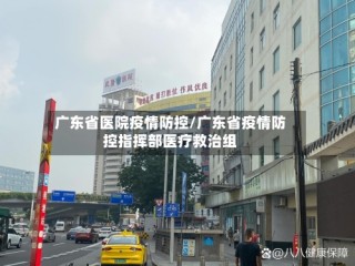 广东省医院疫情防控/广东省疫情防控指挥部医疗救治组